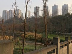-重庆彩云湖湿地公园