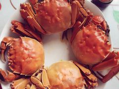 -喜洋洋蟹庄(阳澄湖店)