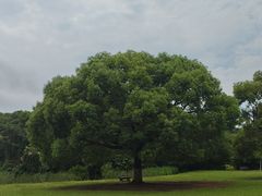 -艾溪湖湿地公园
