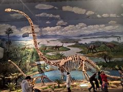 -自贡恐龙博物馆