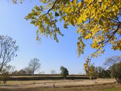 -盘龙城国家考古遗址公园