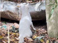 -狼山风景名胜区