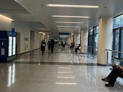 -首都医科大学附属北京天坛医院