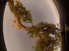 -龙宴海鲜城(经中路店)