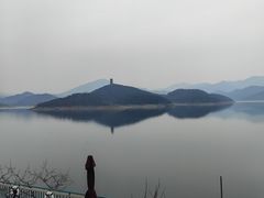 -望湖烤鱼