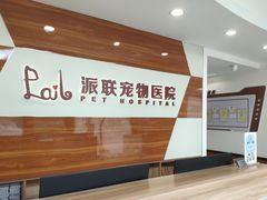 -派联宠物医院·24h·CT·异宠