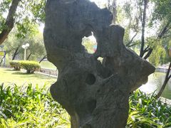 -金砂公园