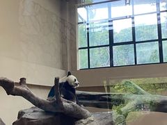 -宁波野生动物园