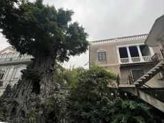 -荔湾湖公园