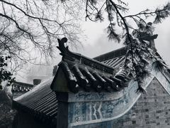 -塔云山
