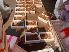 -东方鼎信农副产品交易中心