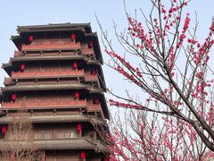 -西安汉城湖景区