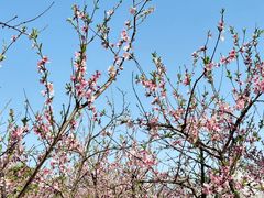 -白塘生态植物园