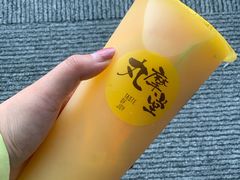 -丸摩堂鲜果茶(九方店)