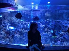 -成都浩海立方海洋公园