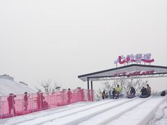 -盈香心动乐园