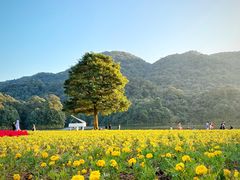 -广州市石门国家森林公园