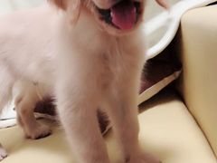 -沐沐家宠物(成寿寺店)