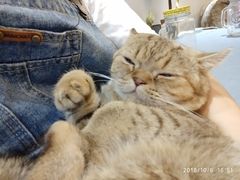 -万小咖.猫咖(中山路天虹店)