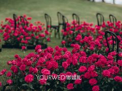 -海南清水湾莱佛士酒店