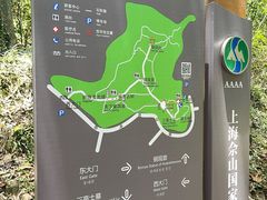 -上海佘山国家森林公园天马山园
