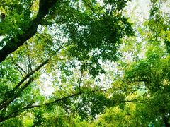 -城堡俄式西餐厅(中央大街索道店)