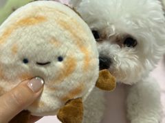 -瑞鹏宠物医院·爱宠堂(环西分院)