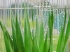 -中国天府农业博览园