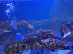 -阿弟特色海鲜餐厅·大排档(平潭店)