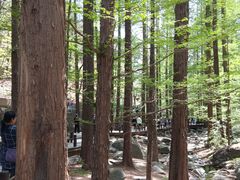 -国家植物园南园