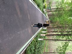 滨湖湿地公园-合肥滨湖国家森林公园