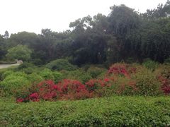 iphone_upload_pic-狐尾山公园