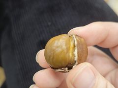 -野栗香(娄山关路店)