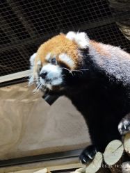 -Zoolung Zoolung动物主题公园(海信广场店)