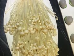 -杨家火锅(国美店)