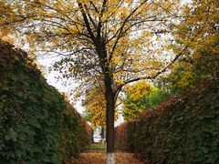 -中央戏剧学院(昌平校区)