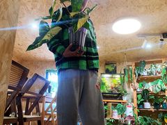 -Rabbit Cafe私房西餐甜点咖啡(栖霞路店)