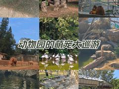 -广州动物园