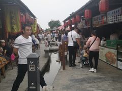 -茯茶镇