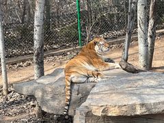-济南野生动物世界