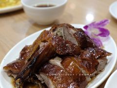 陈记招牌烧鹅-香港深井掂檔烧鹅茶餐厅(海韵城店)