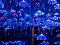 -杭州西湖星空魔幻城(星空艺术馆品牌旗舰店)