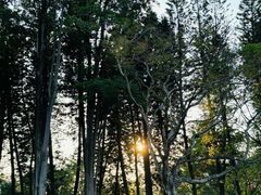 -四海公园(南山区)