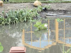 -黑龙江中医药大学