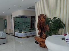 -泰康拜博口腔·二级专科医院(种植·正畸·修复·联合中心)
