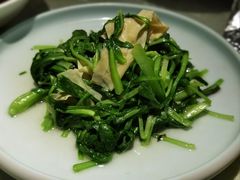鸡毛菜白叶丝-三玛璐酒楼(汉口路店)