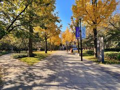 靠近石门二路的门-静安雕塑公园