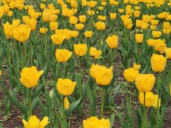 -长春公园(普阳街道)