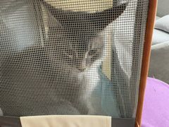 -宠爱国际动物医院·消化内科·心肾内科·ISFM猫友好(望京店)