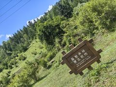 -岚县土豆宴(总部)